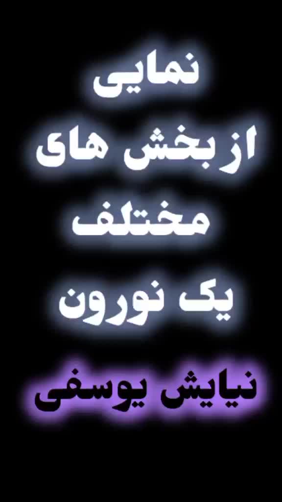 "ساختار نورون را بشناس! | آکسون، دندریت، و بیشتر!"